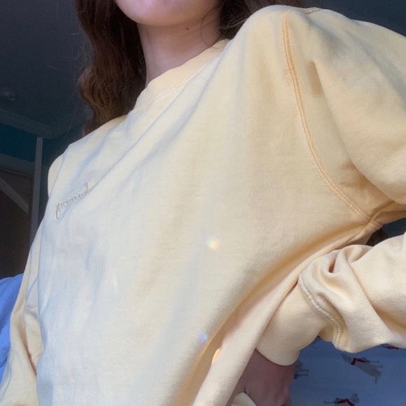 Brandy Melville Sweaters - ERICA HONEY EMBROIDERY SWEATSHIRT BRANDY MELVILLE